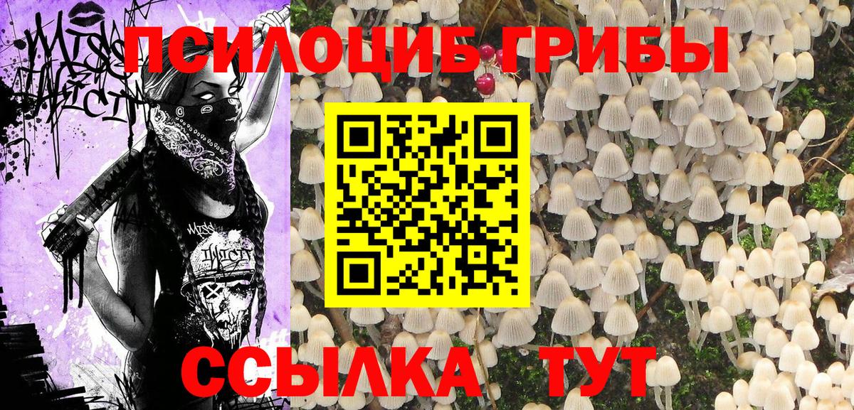 Приморско-Ахтарск  Галлюциногенные грибы GOLDEN TEACHER  Псилоцибиновые грибы прущие грибы  Вход с VPN 