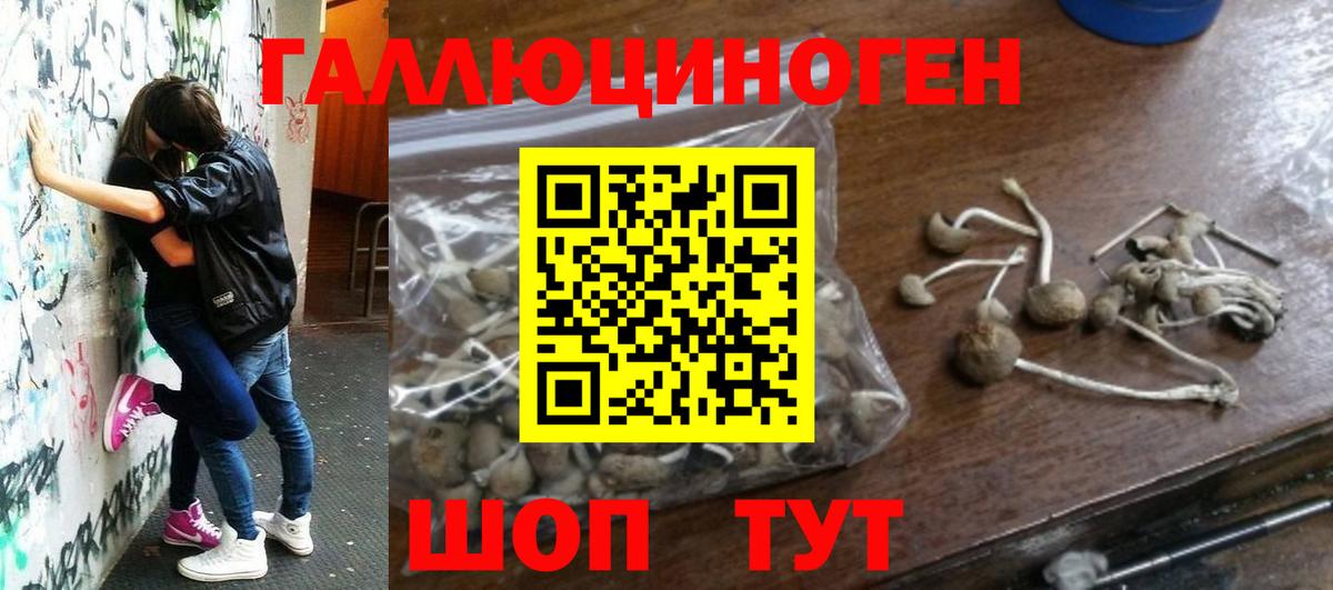 Галлюциногенные грибы Psilocybine cubensis Приморско-Ахтарск